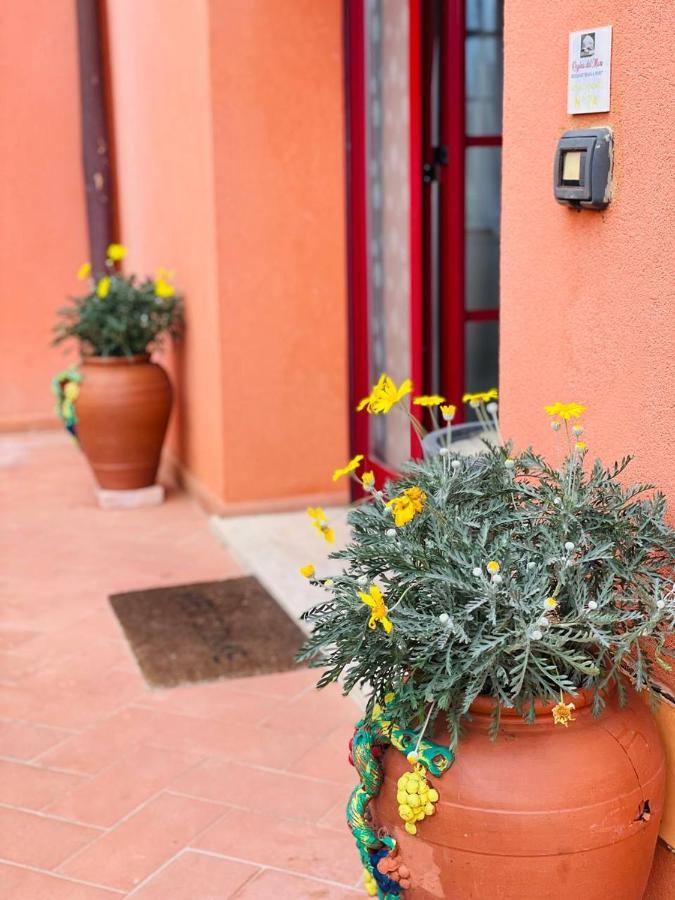 Regina Del Mare Holiday Apartments Tirrenia Buitenkant foto