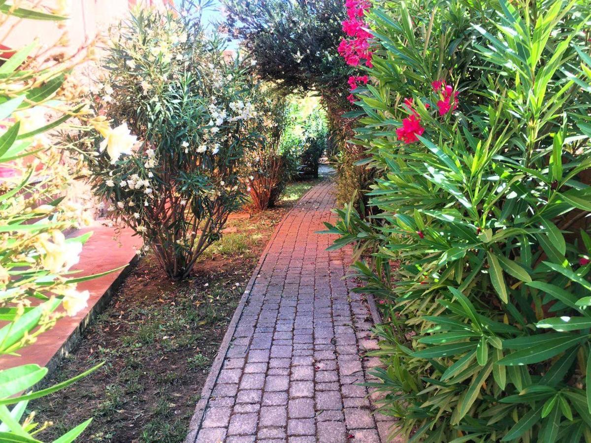 Regina Del Mare Holiday Apartments Tirrenia Buitenkant foto